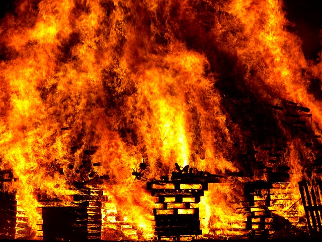 Several hundred cows killed in massive barn fire