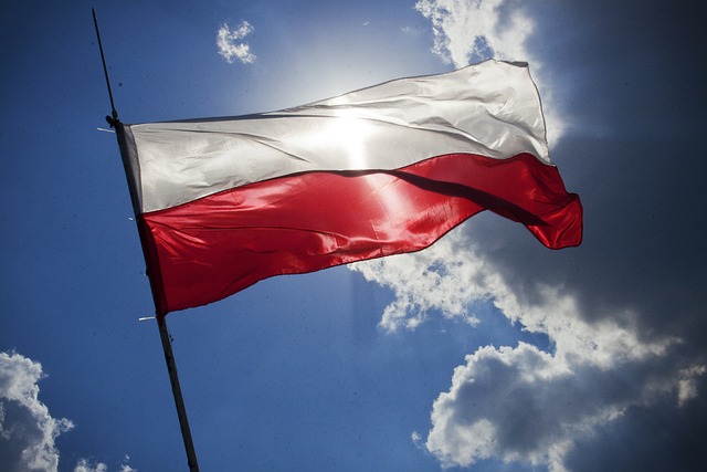 New strategic partnership between Poland and Sweden